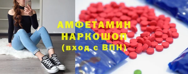 дживик Няндома
