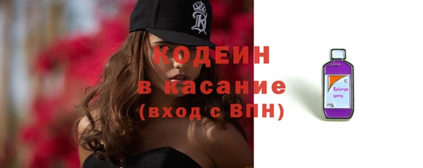 дживик Няндома