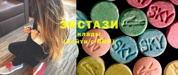 дживик Няндома
