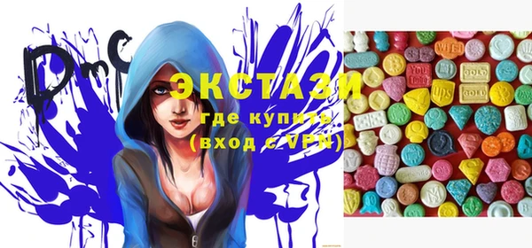 дживик Няндома