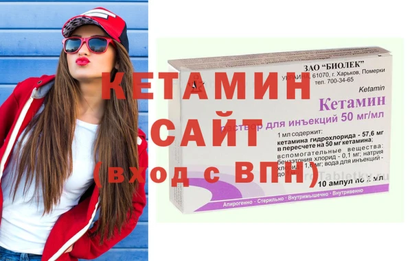 дживик Няндома