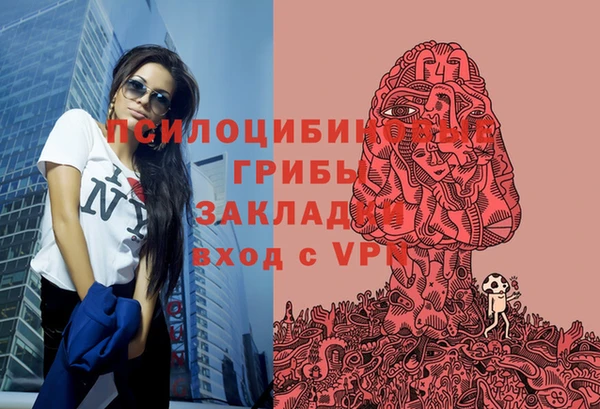 дживик Няндома