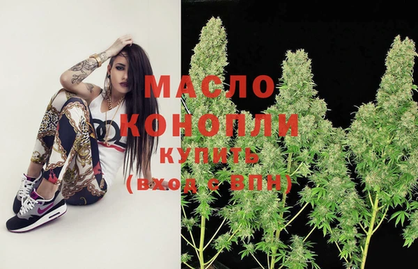 дживик Няндома
