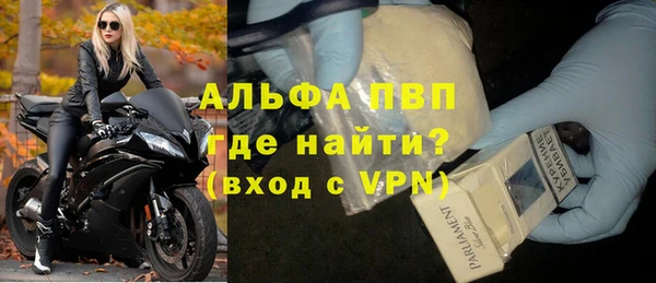 дживик Няндома