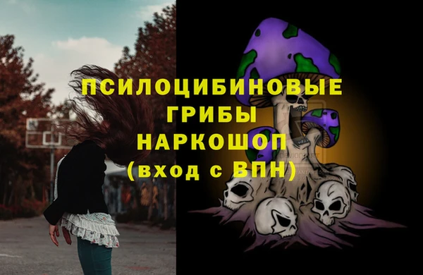 дживик Няндома