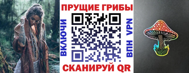 закладка  Черкесск  OMG зеркало  Псилоцибиновые грибы Psilocybine cubensis 