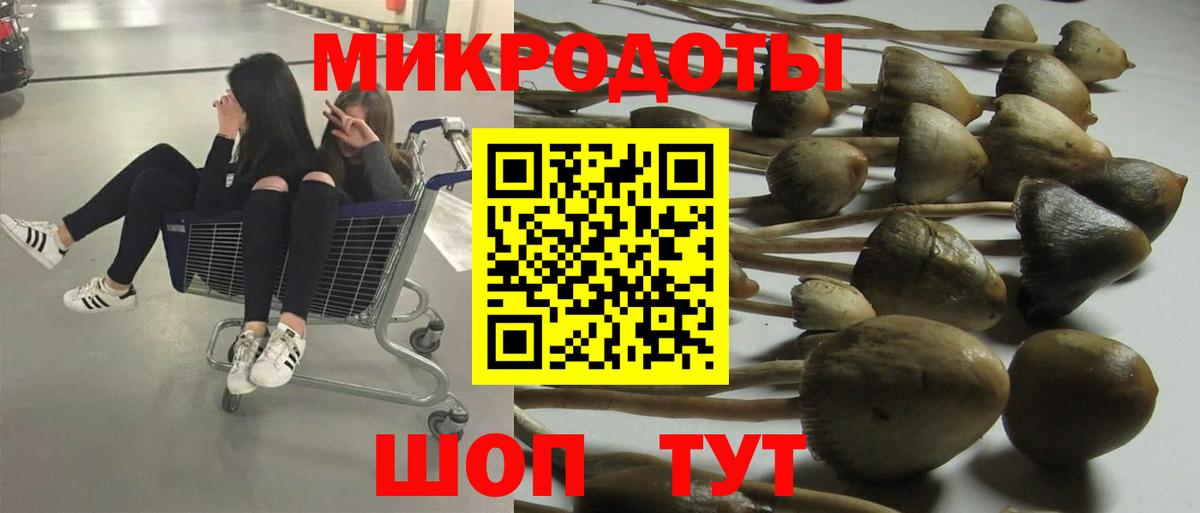 Черкесск  Галлюциногенные грибы GOLDEN TEACHER  Псилоцибиновые грибы ЛСД  Вход с VPN 