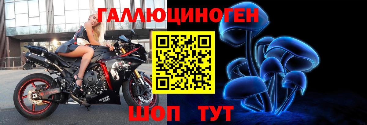 Галлюциногенные грибы GOLDEN TEACHER  Вход с VPN  Черкесск 